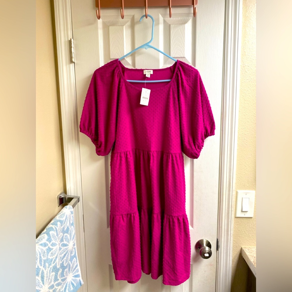 Pink J. Crew dress. NWT size L